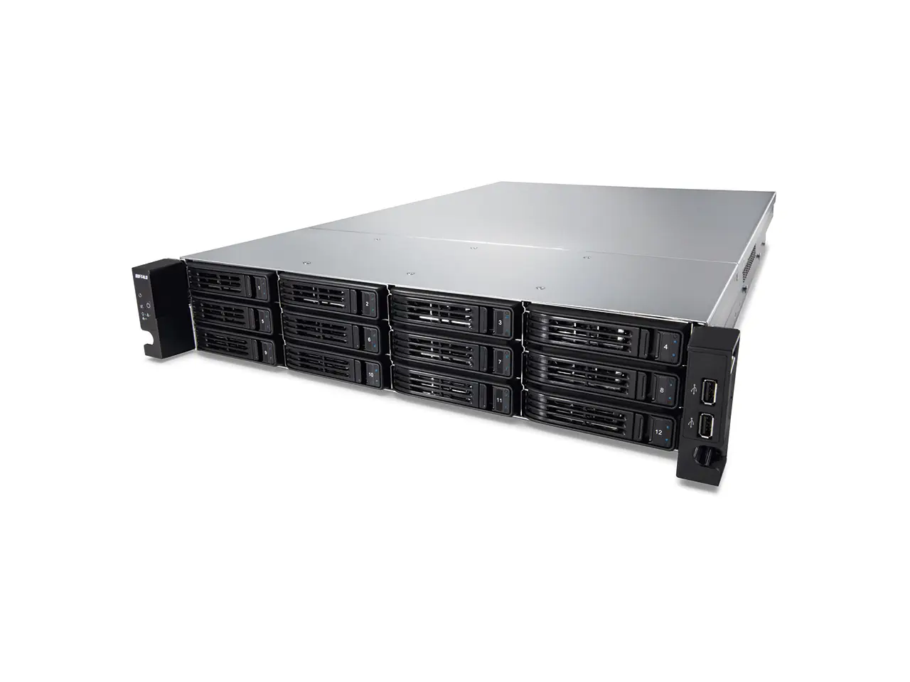 Buffalo TeraStation TS7120r Enterprise 8 GB TS-2RZH120T12DEU
