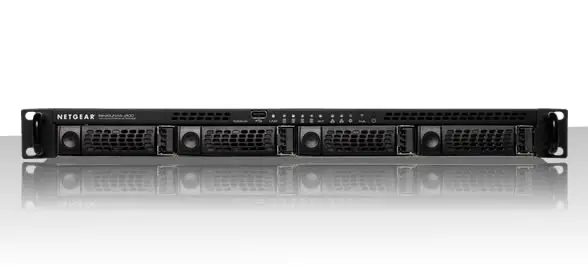 NETGEAR ReadyNAS 2100 1 GB RNRX4000-100NAS
