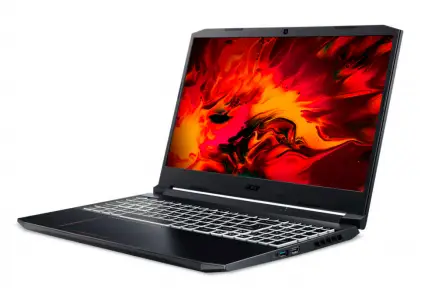 Acer Nitro AN515-55-794N 16 GB NH.Q7PEV.00B
