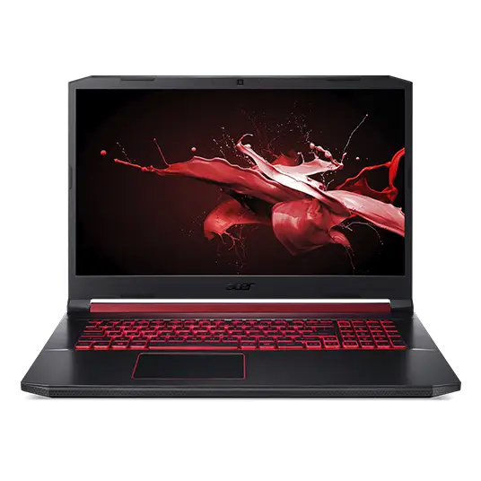 Acer Nitro AN517-41 8 GB NH.QASEK.003