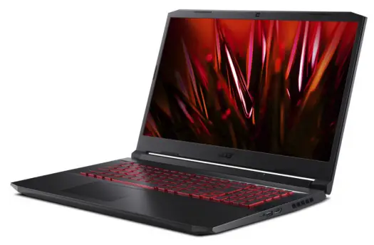 Acer Nitro AN517-53-54DQ 8 GB NH.QBLEV.002