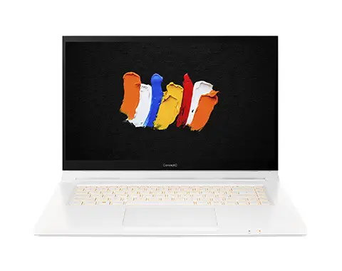Acer ConceptD CC315-72P-72Y5 16 GB NX.C5QED.002