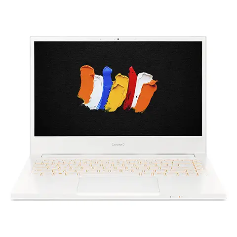 Acer ConceptD CN314-72-59EN 8 GB NX.C5SAL.001