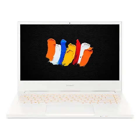 Acer ConceptD CN314-72-74JE 16 GB NX.C5SEB.002