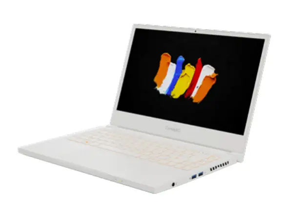 Acer ConceptD CN314-72P-7526 16 GB NX.C5VEG.001