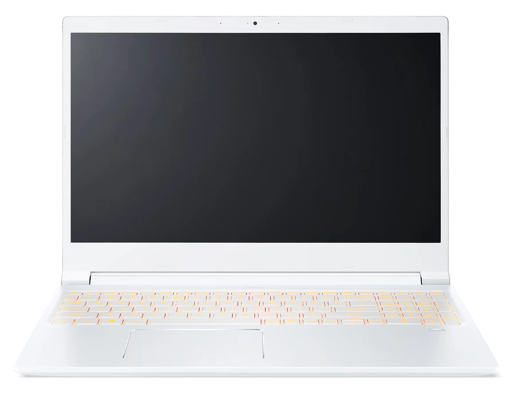 Acer ConceptD CN315-71-70C5 16 GB NX.C57EG.001