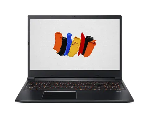 Acer ConceptD CN315-71-791U 16 GB NX.C4QAA.001