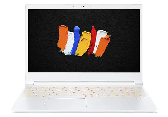 Acer ConceptD CN315-71P-58N0 16 GB NX.C58AA.002