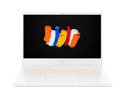 Acer ConceptD CN315-72G-76ZP 16 GB NX.C5YET.006
