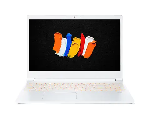 Acer ConceptD CN315-72P 16 GB NX.C5ZEB.001
