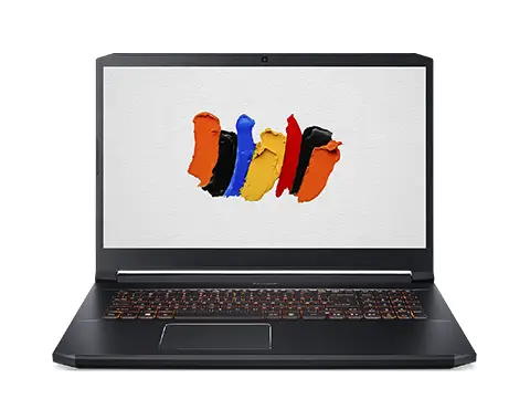 Acer ConceptD CN517-71P-72DN 32 GB NX.C55AA.002