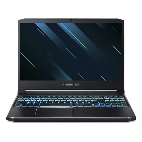 Acer Predator PH317-54-77TH 16 GB NH.Q9VAA.001