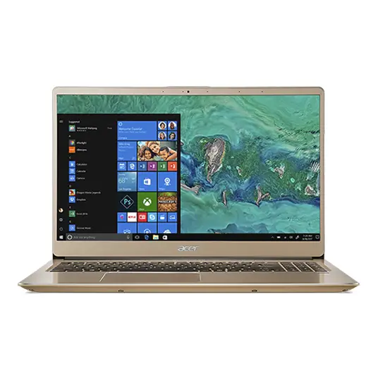 Acer Swift SF315-52-33ZE 4 GB NX.GZBEV.002