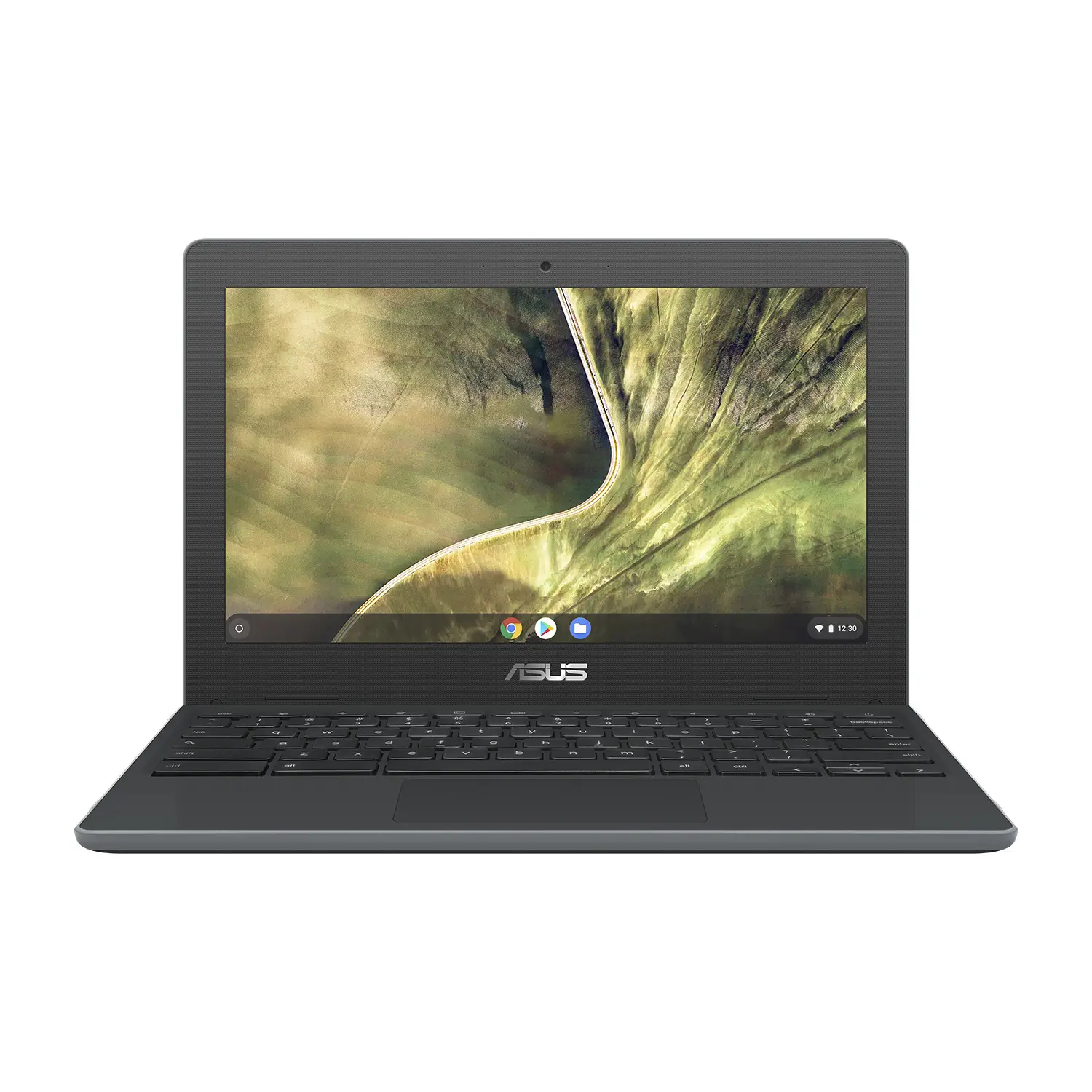 ASUS Chromebook C204EE-BB01-CB 4 GB