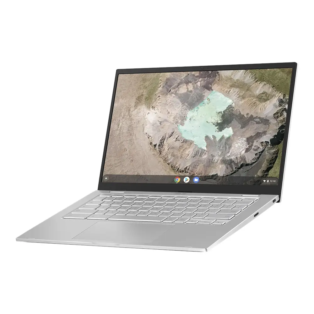 ASUS Chromebook C425TA-AJ0172 4 GB 90NX02H1-M02180