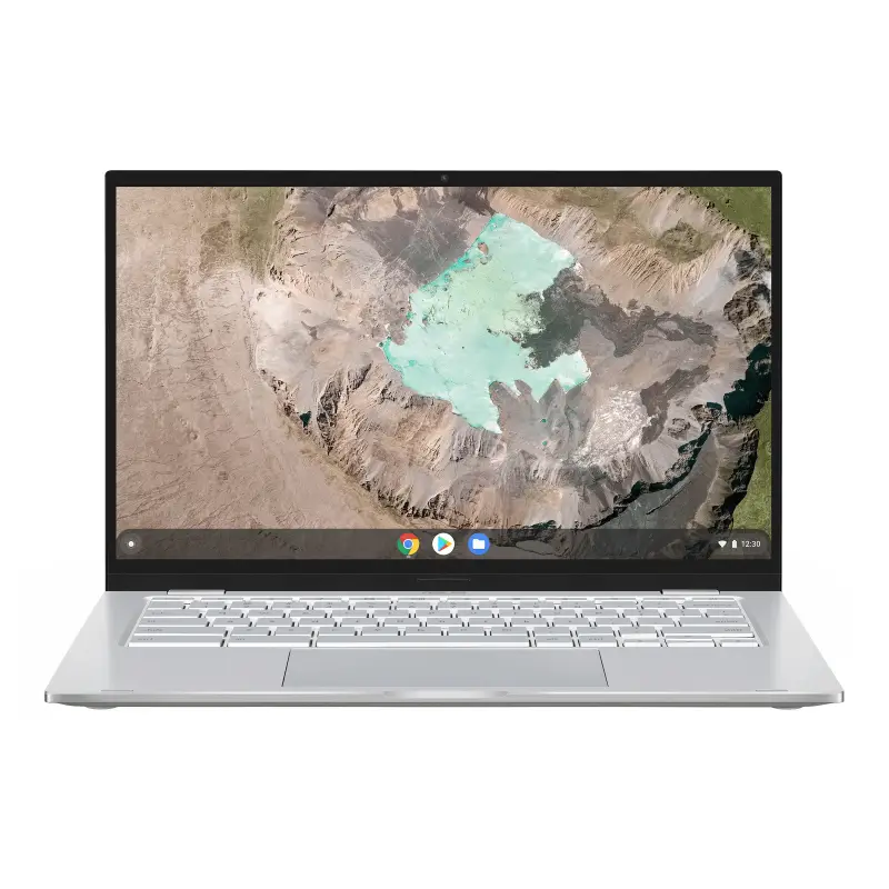 ASUS Chromebook C425TA-H50181 8 GB 90NX02H1-M02300