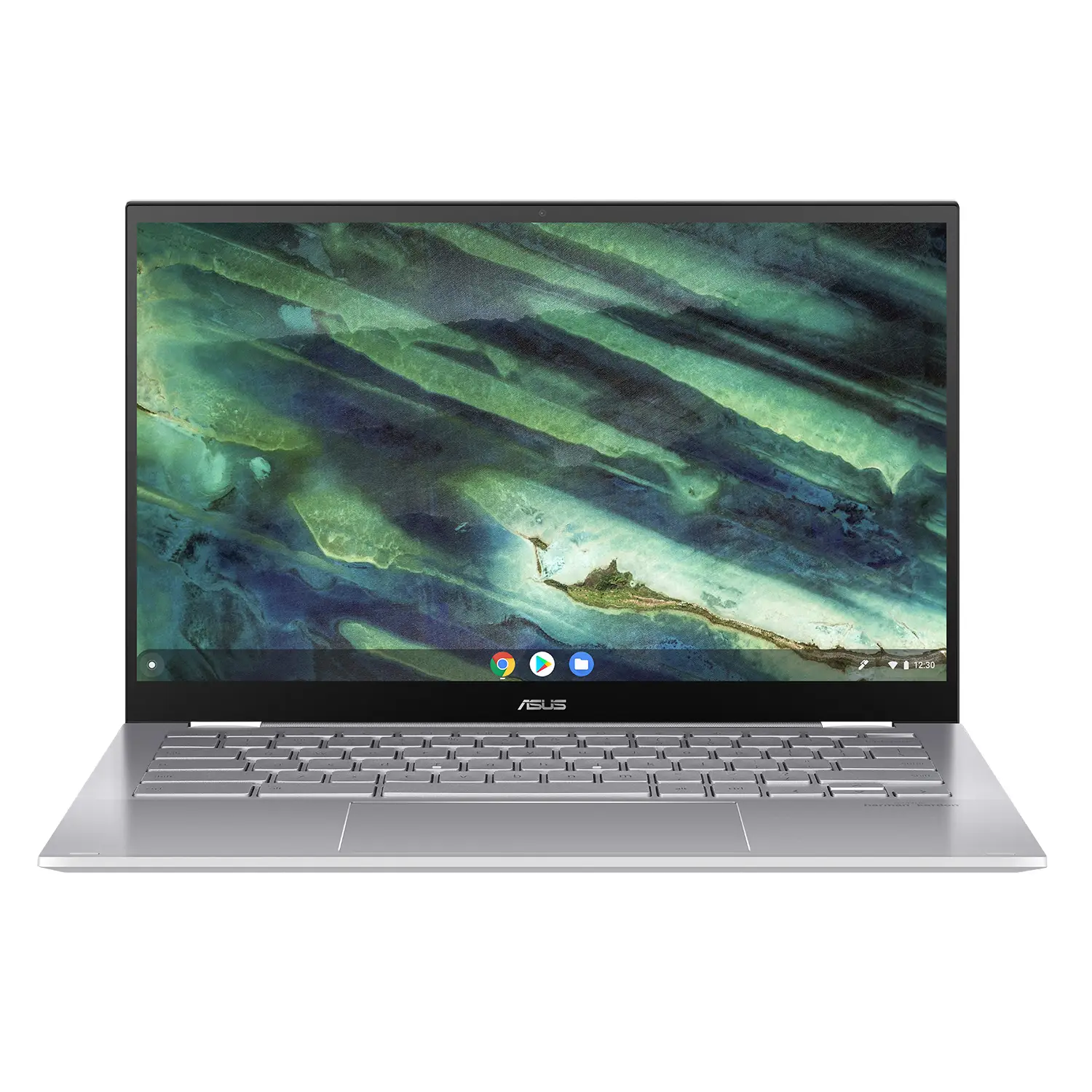 ASUS Chromebook C436FA-E10340-USI 8 GB