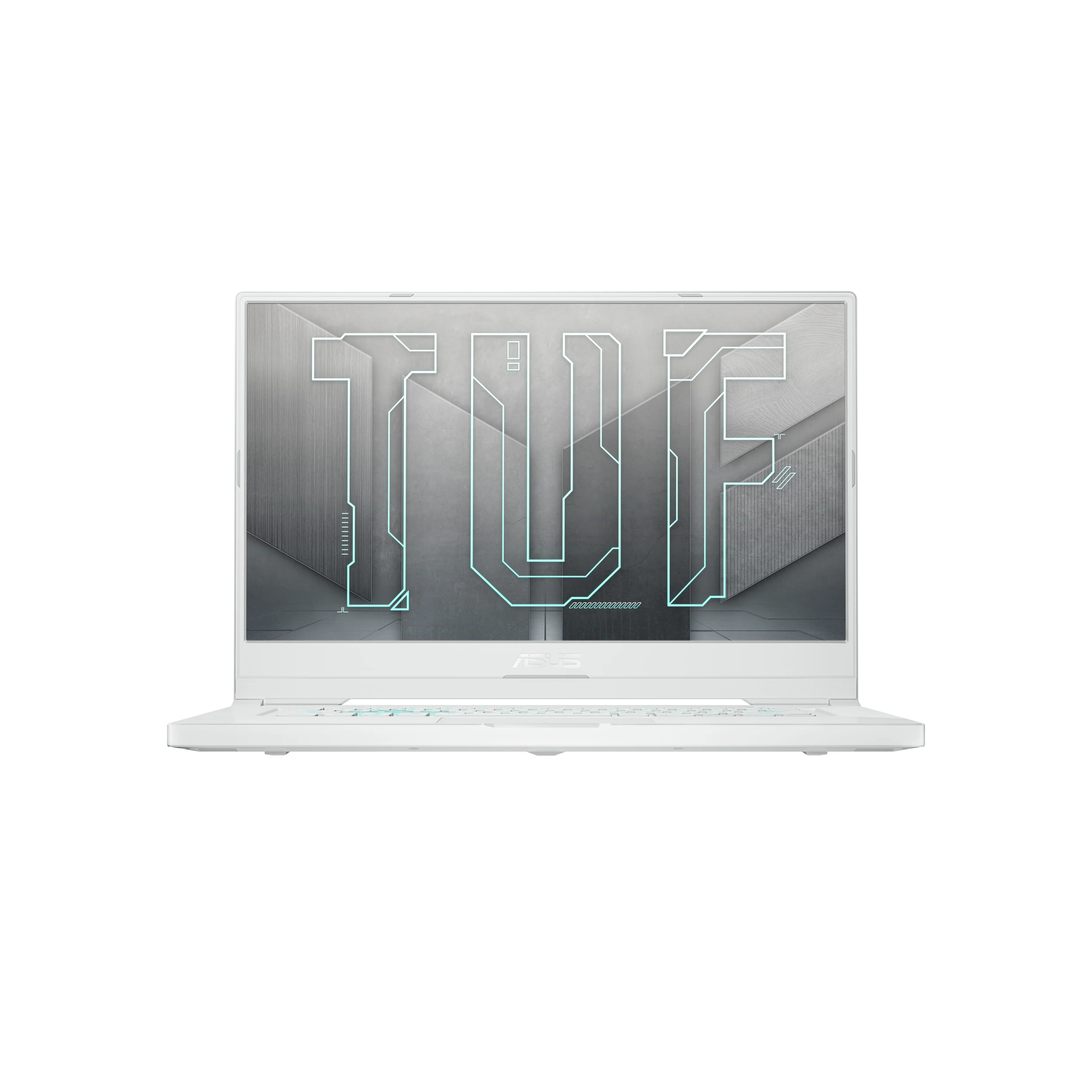 ASUS TUF Dash FX516PM-HN174TS 16 GB