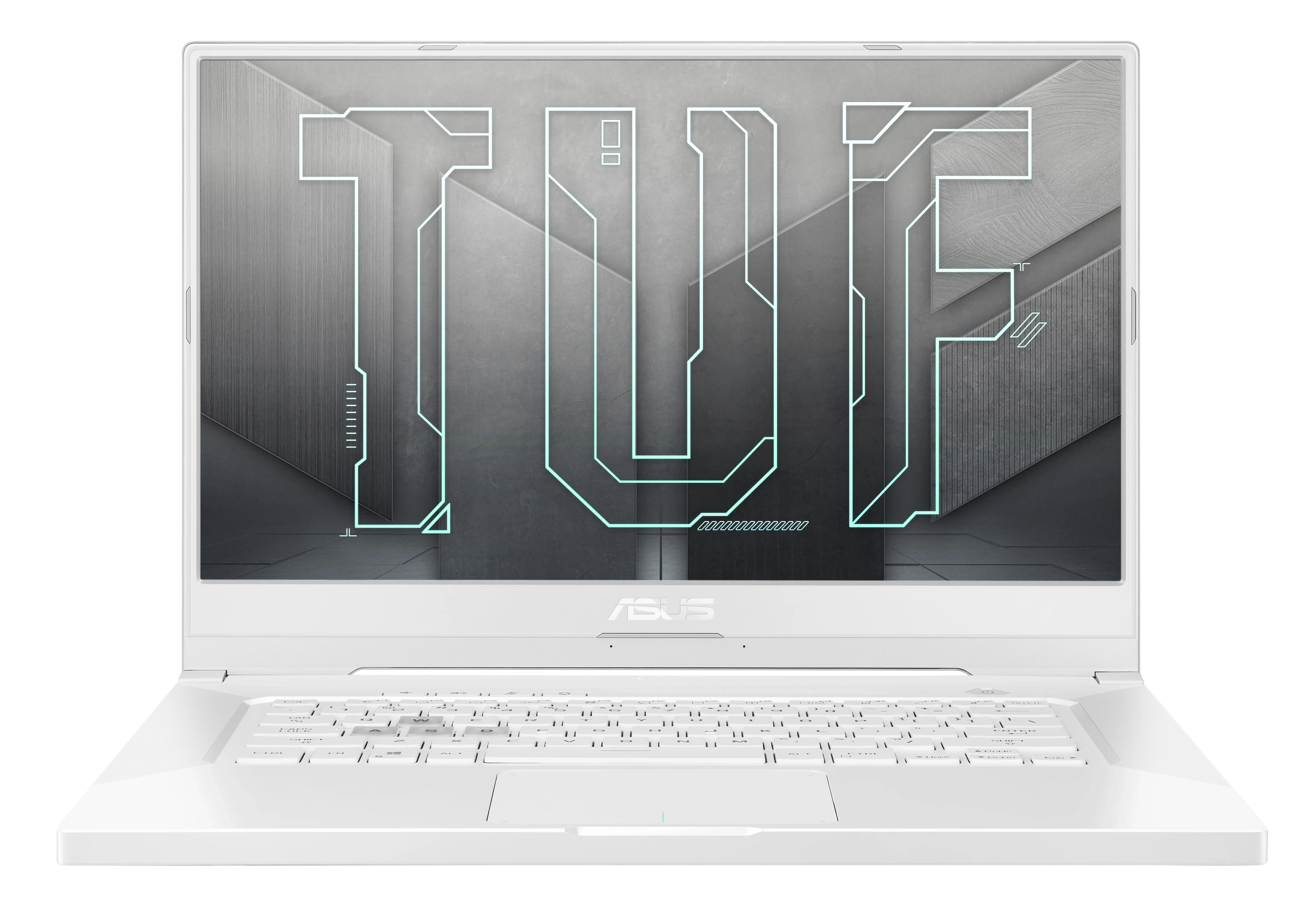 ASUS TUF Dash FX516PR-HN032T 16 GB 90NR0653-M03150