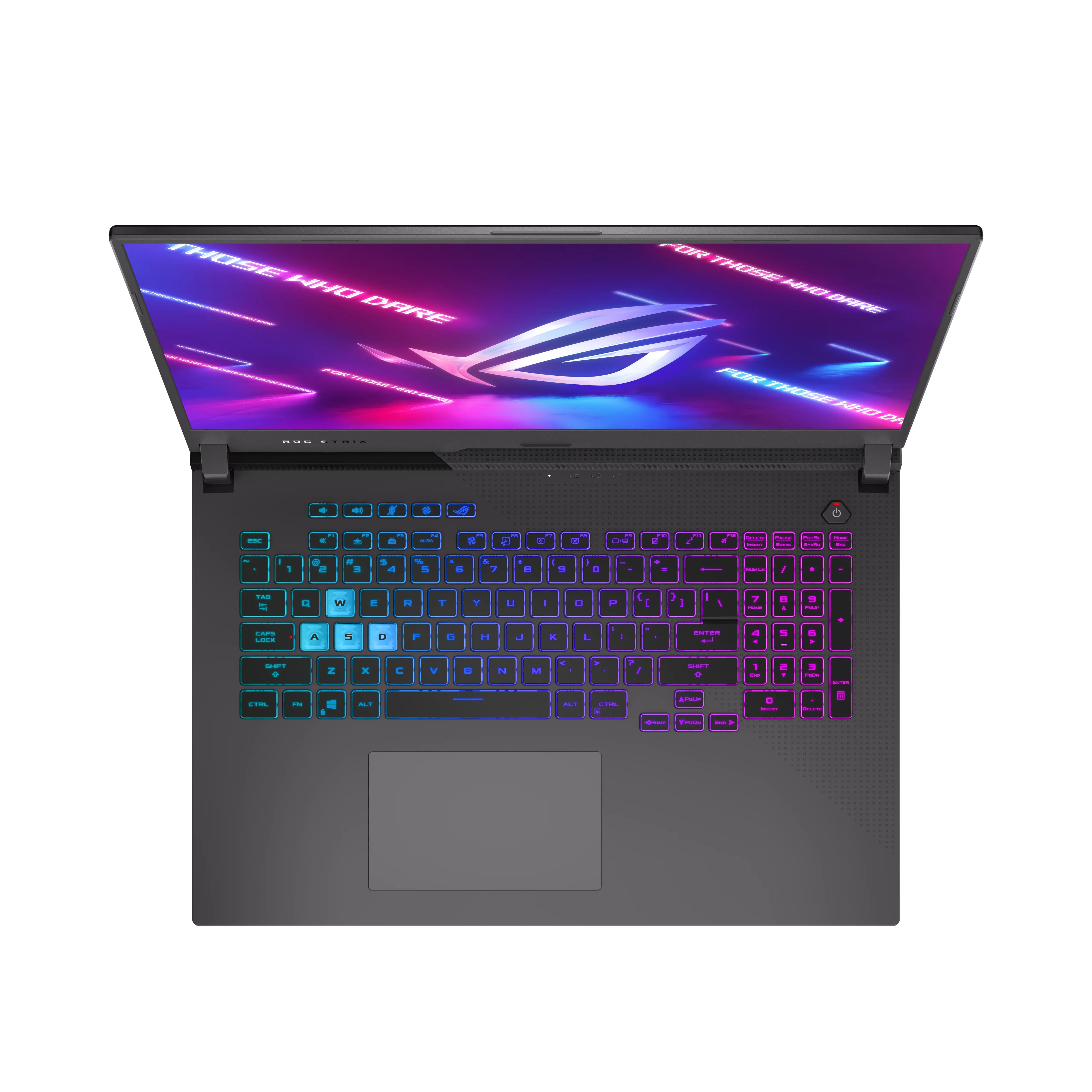 ASUS ROG G713QY-K4005T 16 GB 90NR06V3-M00280