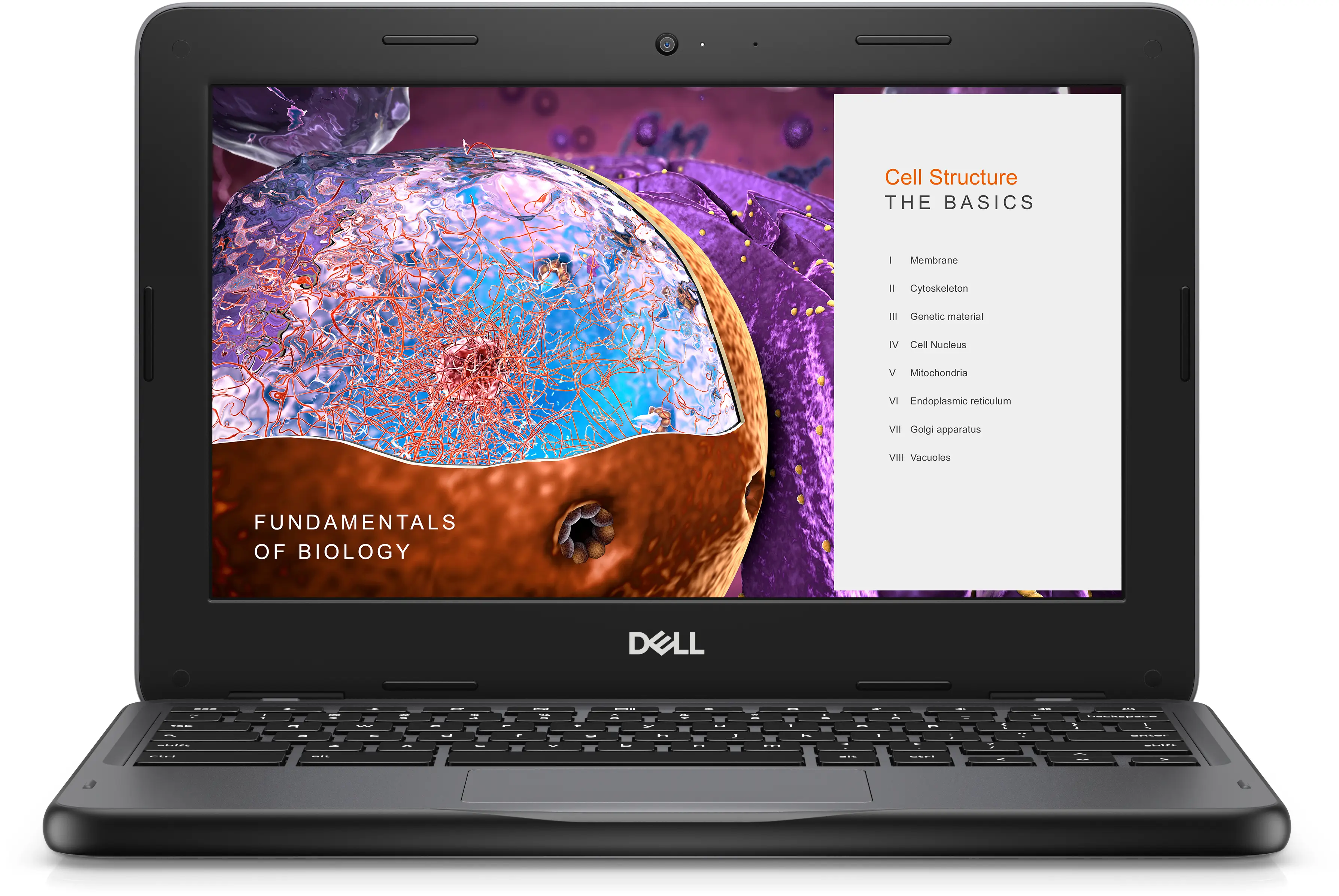 DELL 3110 4 GB 4GKP3