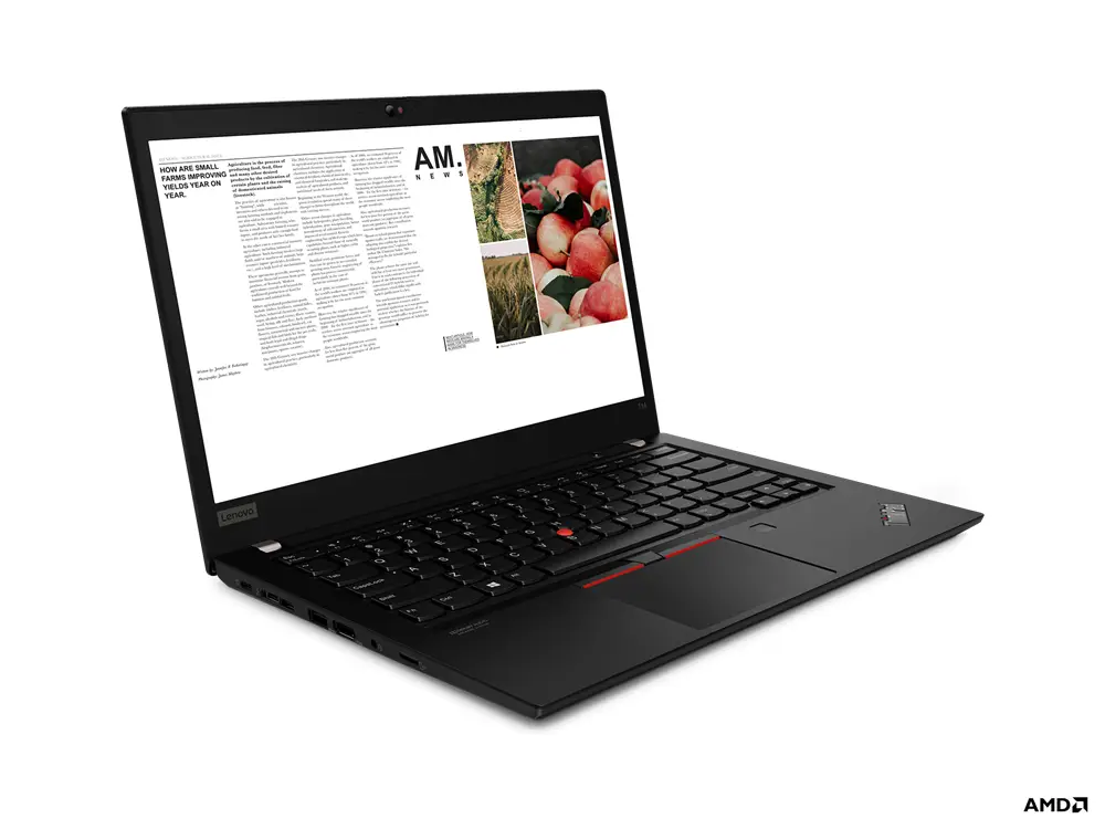 Lenovo ThinkPad T14 Gen 1 (AMD) 8 GB 20UD002BIX