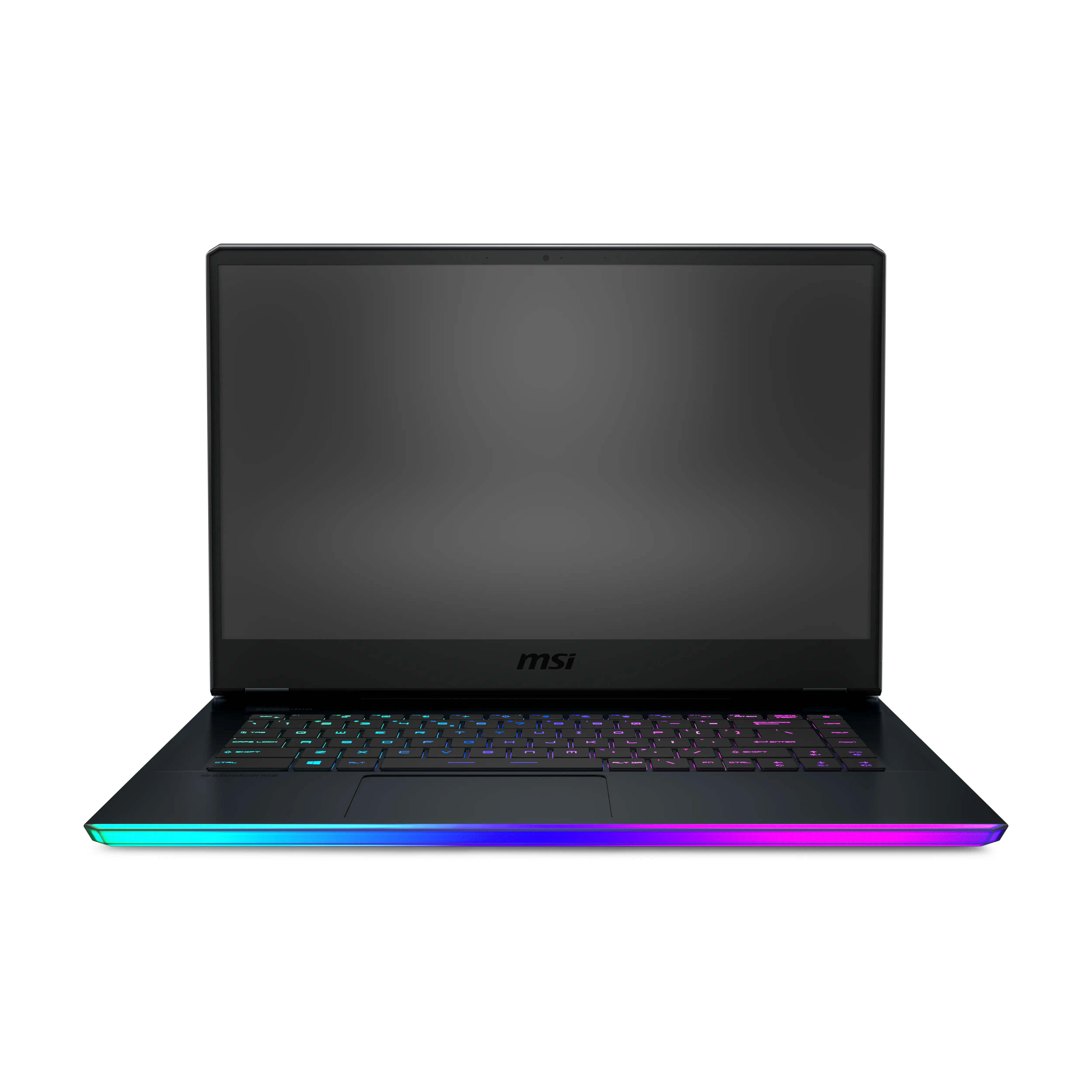 MSI Gaming GE66 10SE-677NL Raider 16 GB