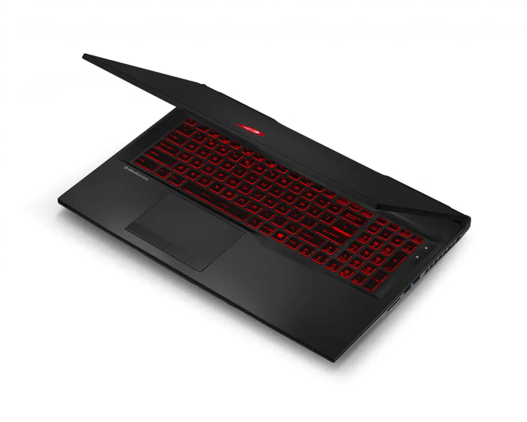 MSI Gaming GL75 9SD-024XFR 8 GB 9S7-17E512-024