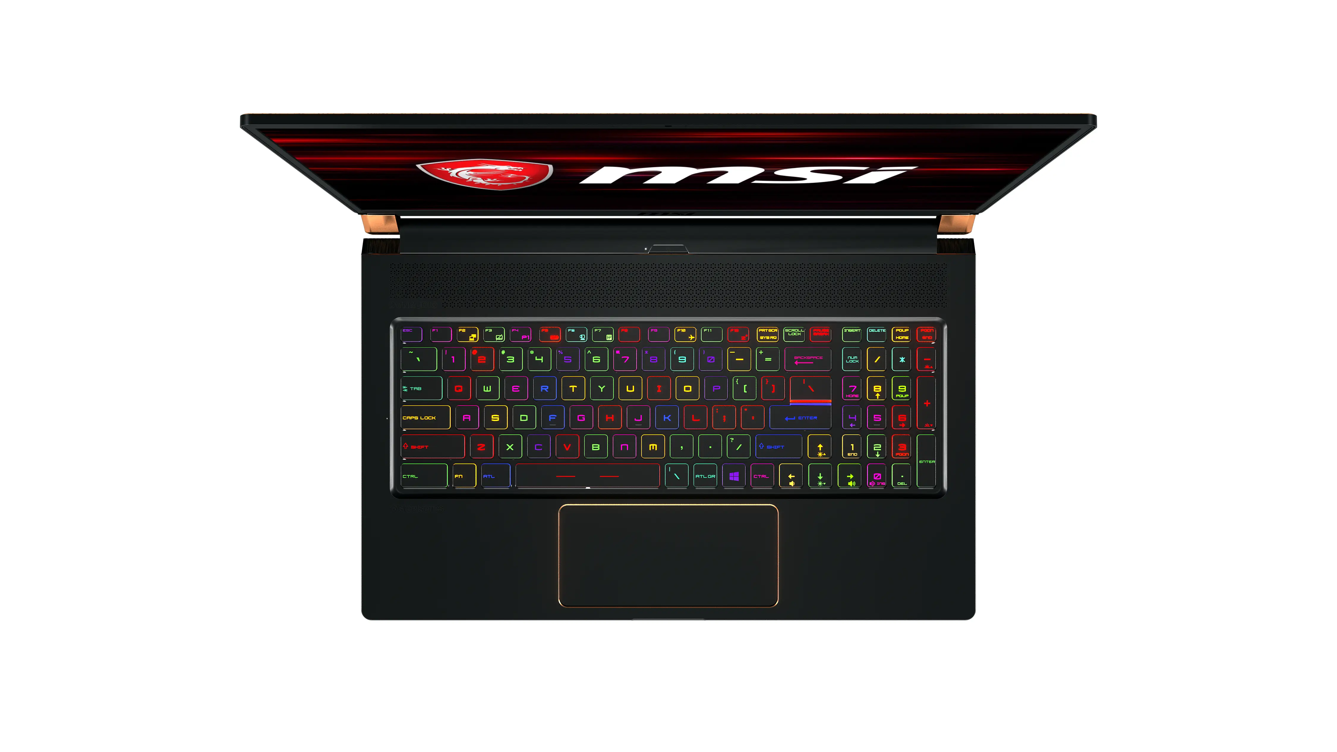 MSI Gaming GS66 10SGS-032 Stealth 32 GB