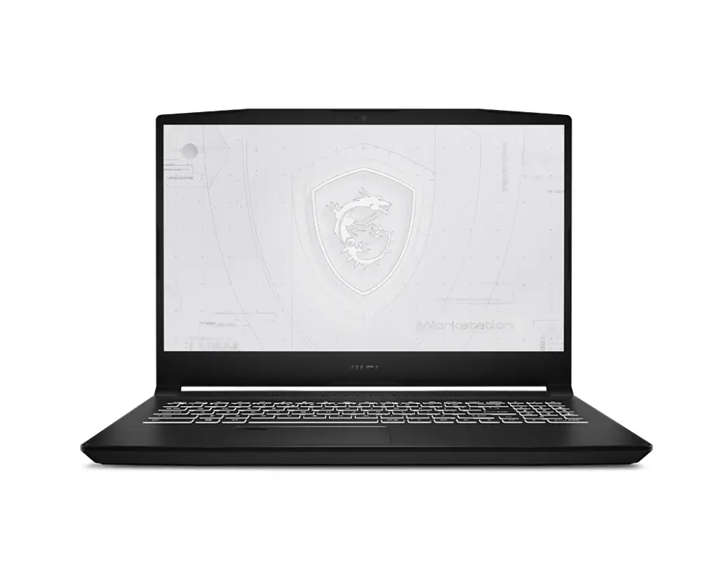 MSI Workstation WF66 11UJ-241RU 16 GB