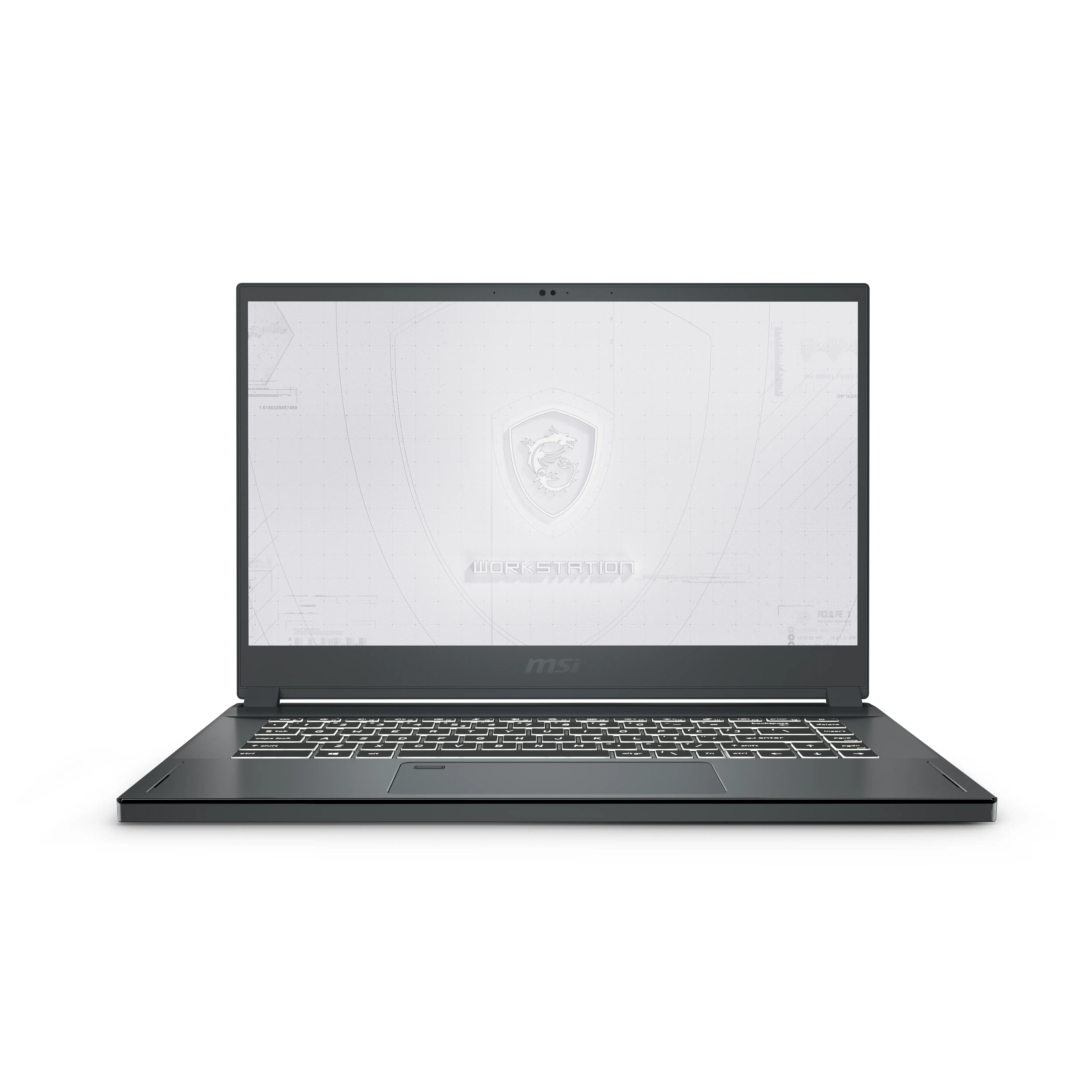 MSI Workstation WS66 11UM-217NL 32 GB