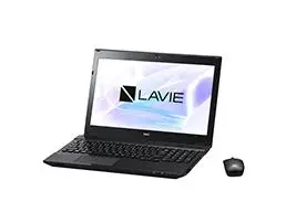 NEC Smart NS(S) 4 GB PC-SN276GRAB-1