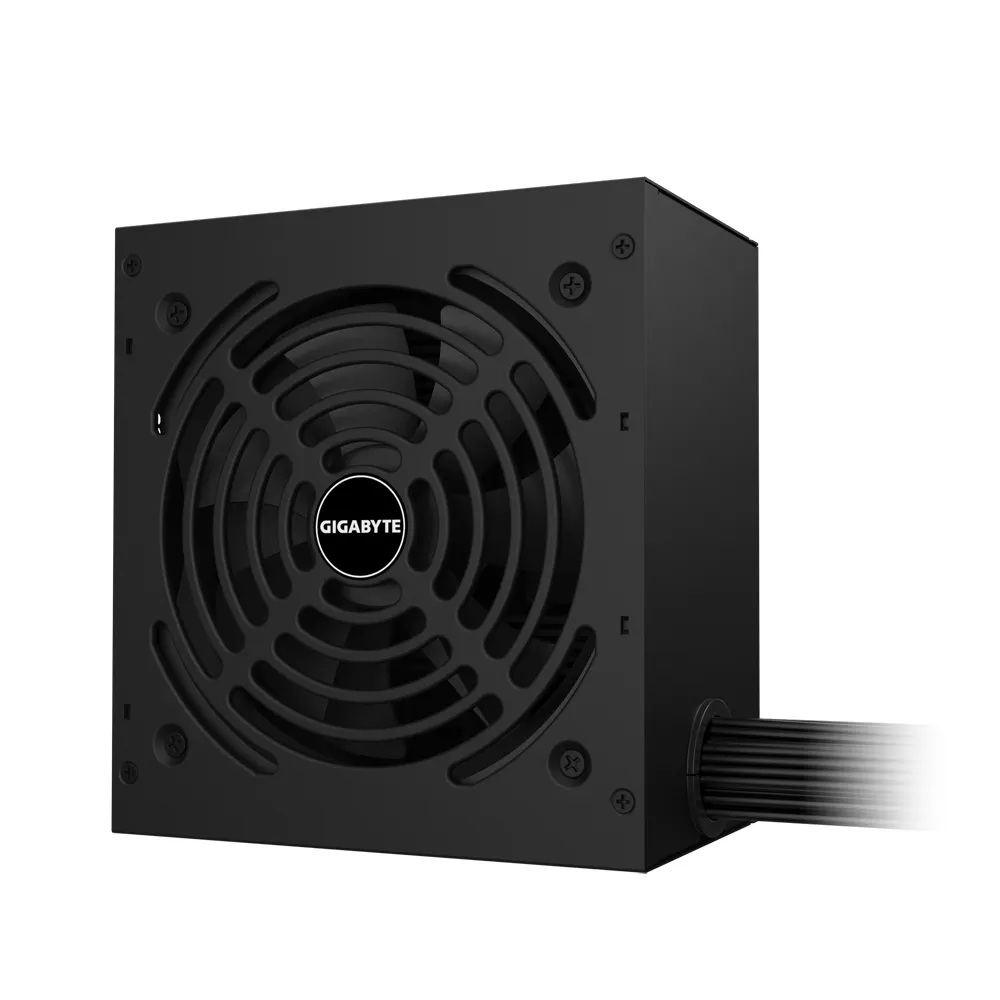 GIGABYTE GP-P650G güç kaynağı ünitesi 650 W 20+4 pin ATX ATX Siyah