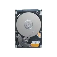 Seagate ST9250311CS 250 GB ST9250311CS-RFB