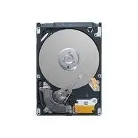 Seagate ST9250421ASG 250 GB ST9250421ASG-RFB