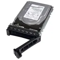 DELL 400-AFKR 300 GB