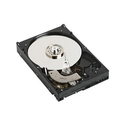 DELL 400-AHJG 1 TB