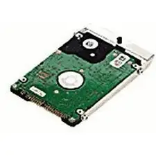 Epson 40GB-Sabit disk C12C824172