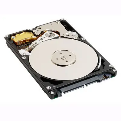 Fujitsu 250GB SATAII HDD S26361-F3655-L250