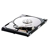 Samsung Spin Point M40S 60 GB HM060II