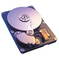 Samsung 160GB Ultra-ATA/133 HDD SP1634N