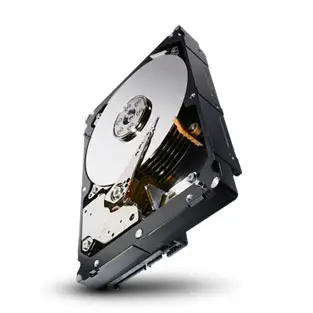 Seagate ST2000NM0044 2 TB