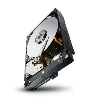 Seagate ST3000NM0033-20PK 3 TB