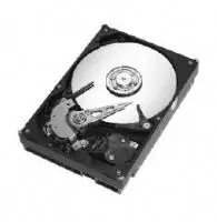 Seagate BARRACUDA 7200.8 300GB ST3300831AS-RK