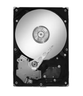 Seagate Barracuda ES 320GB, 7200rpm, SATA-II ST3320620NS