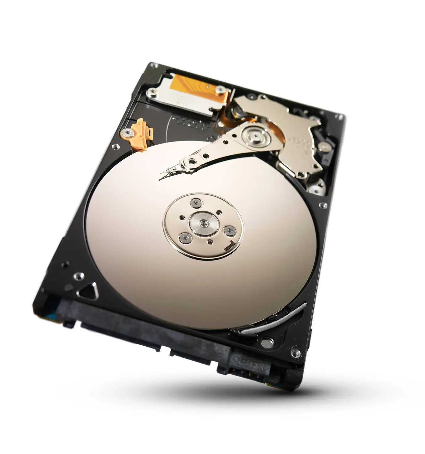 Seagate ST1000DM004 1 TB ST1000DM004-25PK