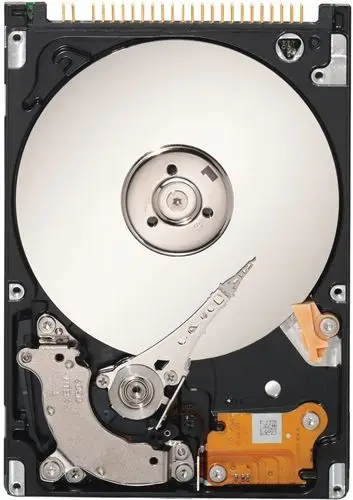 Seagate ST960815SB 60 GB