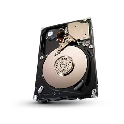 Seagate Savvio 300 GB ST9300553SS-30PK