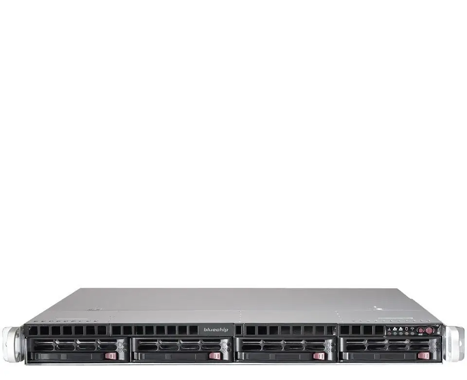 bluechip SERVERline R41303s 2 TB 850418