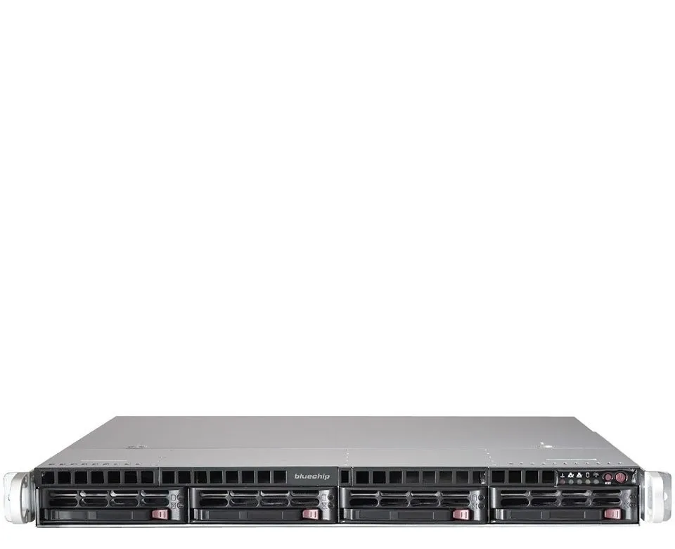 bluechip SERVERline R41305s 850524